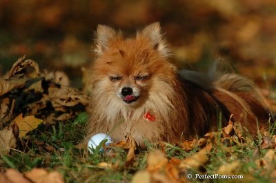 Oct5_07_590.JPG