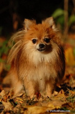 Oct5_07_608.jpg