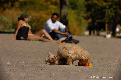 Sept22_07_270.JPG