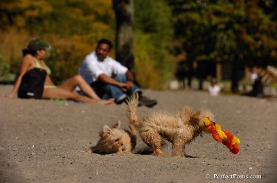Sept22_07_271.JPG