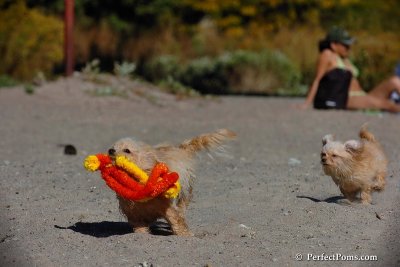Sept22_07_278.jpg