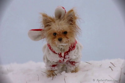 Dec13_07_357.jpg