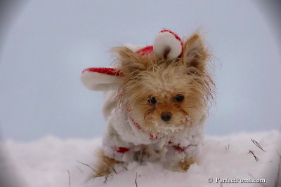 Dec13_07_358.jpg