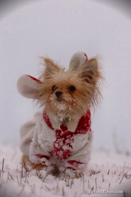 Dec13_07_359.JPG