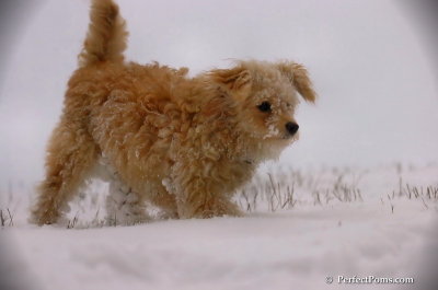 Dec13_07_360.JPG