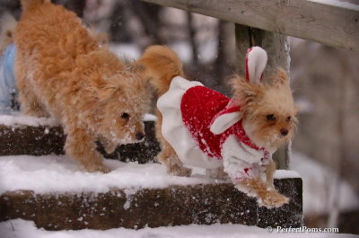 Dec13_07_366.JPG