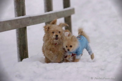 Dec13_07_377.jpg