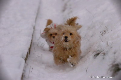 Dec13_07_378.jpg