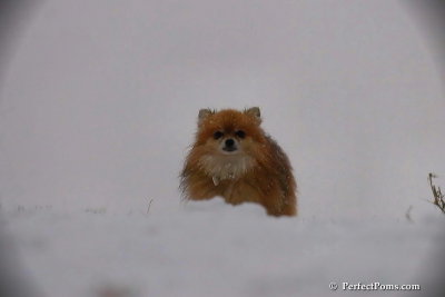 Dec13_07_382.jpg