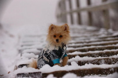 Dec13_07_386.JPG