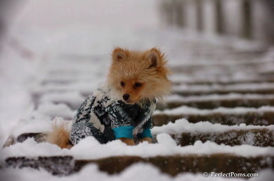Dec13_07_387.JPG