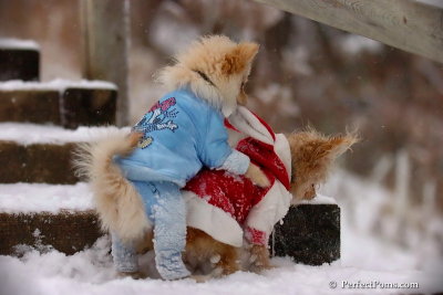 Dec13_07_395.jpg