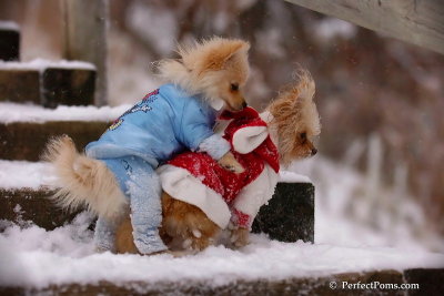 Dec13_07_397.jpg
