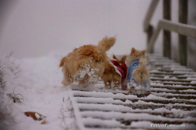Dec13_07_402.JPG