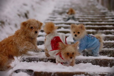 Dec13_07_425.jpg