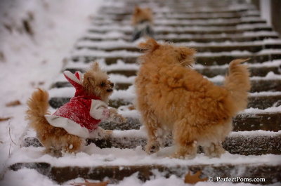 Dec13_07_428.JPG