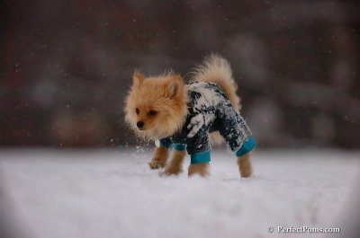 Dec13_07_440.JPG
