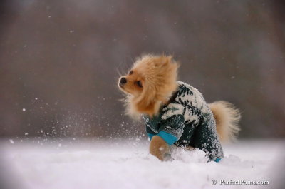 Dec13_07_444.JPG
