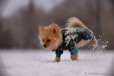 Dec13_07_449.JPG