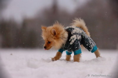 Dec13_07_450.JPG