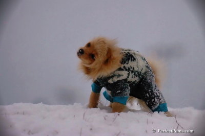 Dec13_07_451.jpg