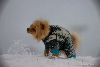 Dec13_07_452.jpg