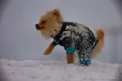 Dec13_07_453.jpg