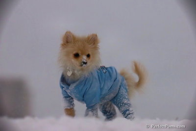 Dec13_07_455.jpg