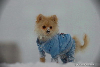 Dec13_07_456.jpg