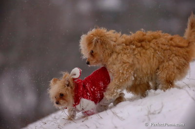 Dec13_07_457.JPG