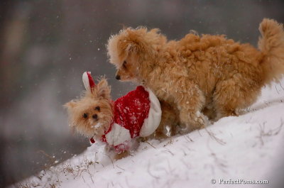 Dec13_07_458.JPG