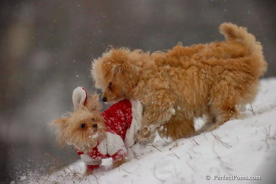Dec13_07_459.jpg