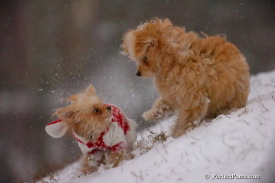 Dec13_07_460.jpg