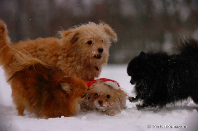 Dec13_07_463.JPG