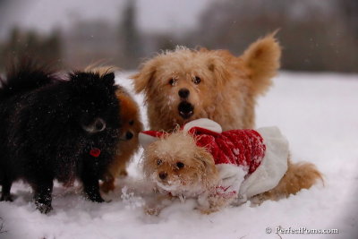 Dec13_07_467.jpg