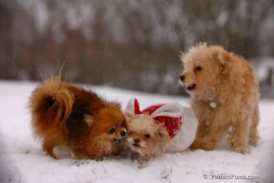 Dec13_07_468.jpg