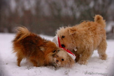 Dec13_07_469.jpg