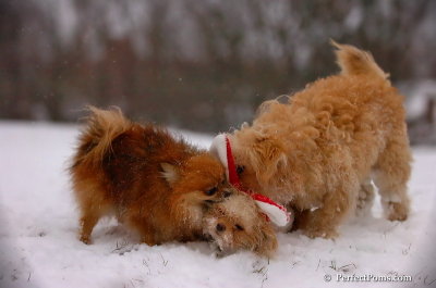 Dec13_07_470.JPG
