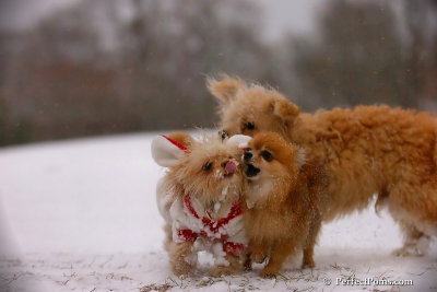 Dec13_07_473.jpg