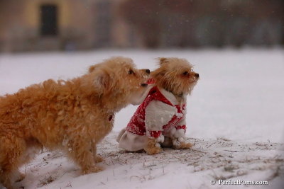 Dec13_07_476.jpg
