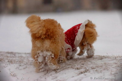 Dec13_07_477.jpg