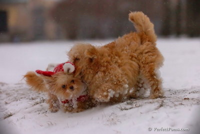 Dec13_07_478.jpg