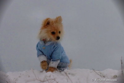 Dec13_07_308.jpg
