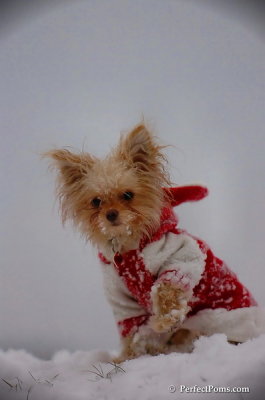 Dec13_07_310.JPG