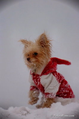Dec13_07_311.JPG