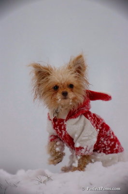 Dec13_07_312.JPG