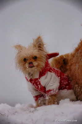 Dec13_07_313.JPG