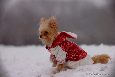 Dec13_07_314.jpg