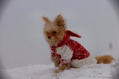 Dec13_07_315.jpg