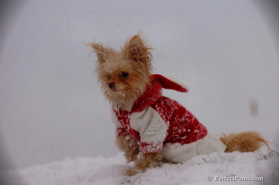 Dec13_07_316.JPG